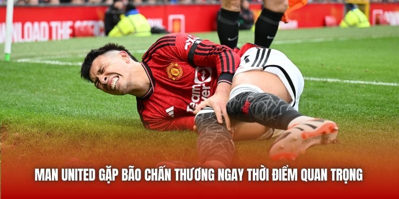 Man United gặp bão chấn thương ngay thời điểm quan trọng