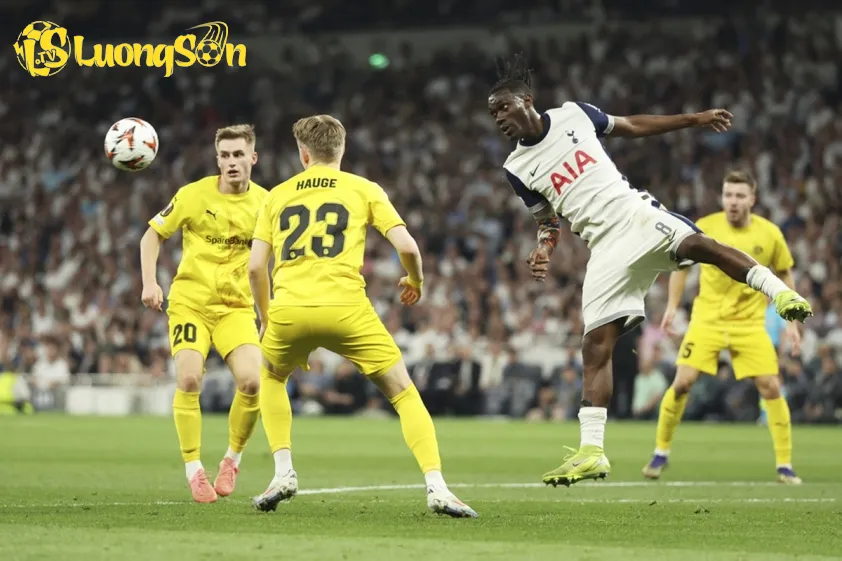 Nhận định trận đấu Bodo/Glimt và Tottenham